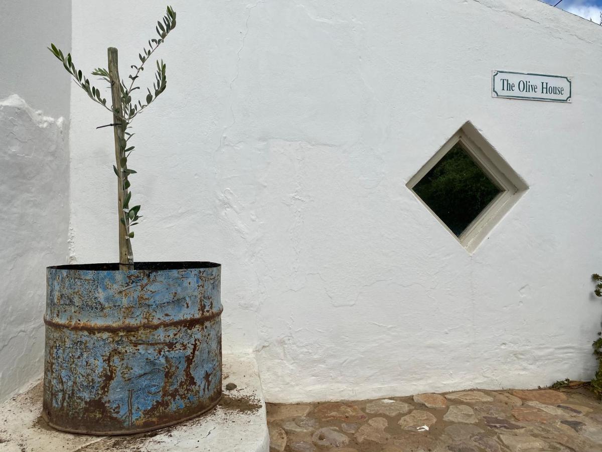 The Olive House, Prince Albert Exterior foto