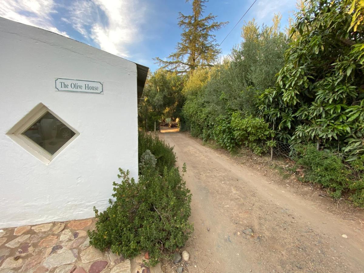 The Olive House, Prince Albert Exterior foto
